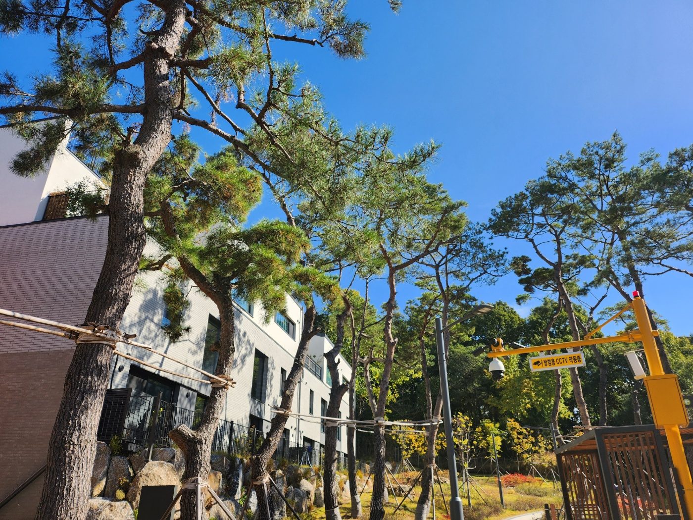 단지 산책로